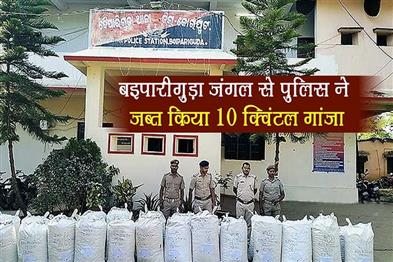 Khabar East:10-Quintals-Of-Ganja-Seized-By-Police-From-Boipariguda-Forest-In-Koraput