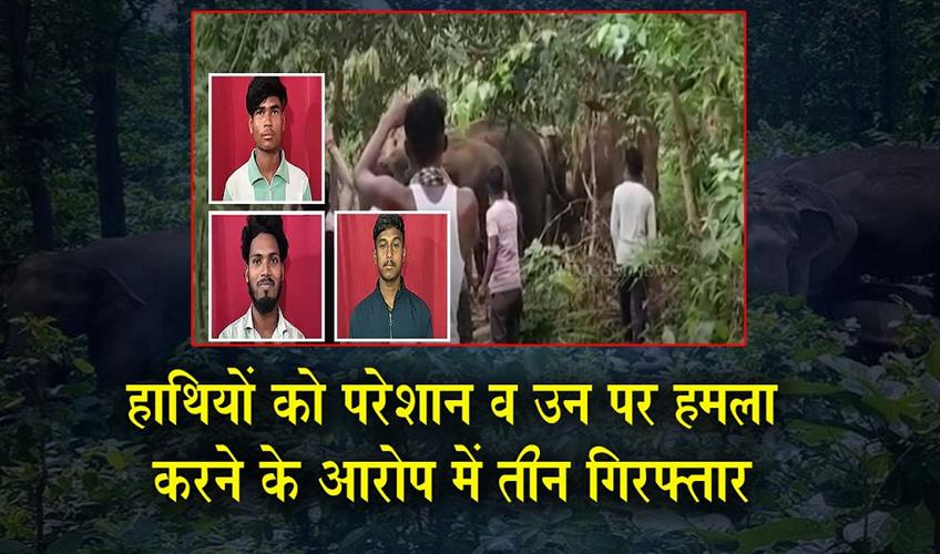 Khabar East:3-Arrested-For-Teasing-And-Assaulting-Elephants-In-Keonjhar