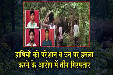 Khabar East:3-Arrested-For-Teasing-And-Assaulting-Elephants-In-Keonjhar