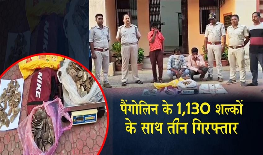 Khabar East:3-Arrested-With-1130-Pangolin-Scales-In-Rayagada