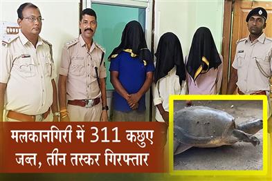 Khabar East:311-Tortoises-Seized-In-Malkangiri-Three-Arrested