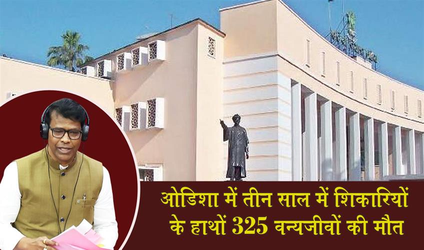 Khabar East:325-Wildlife-Animals-Killed-by-Poachers-in-Odisha-Over-Three-Years