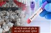 Khabar East:4500-Chickens-Culled-In-Khordha-As-Bird-Flu-Outbreak-Confirmed