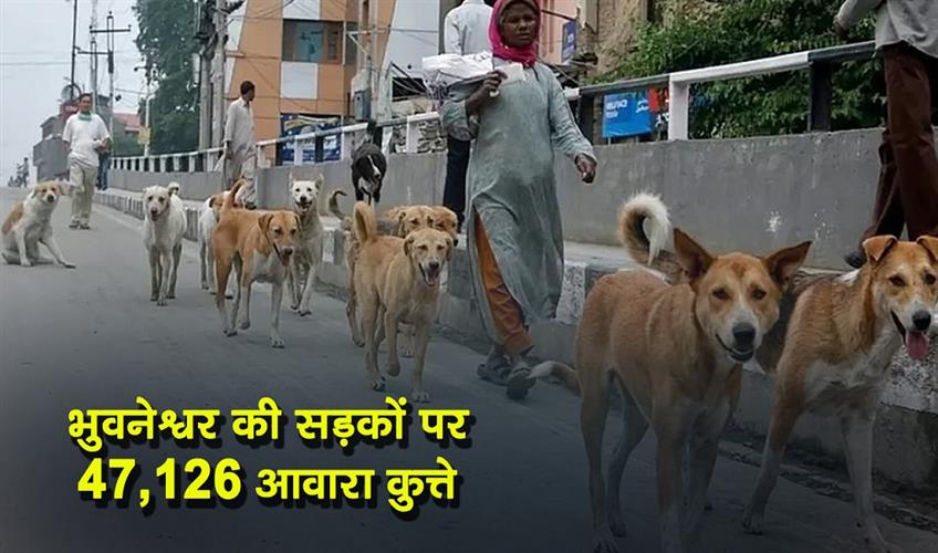 Khabar East:47126-Stray-Dogs-Roam-Bhubaneswar-Streets-Census