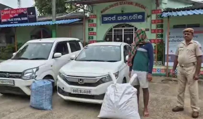 Khabar East:50-Kg-Ganja-Seized-Peddler-Arrested-In-Boudh