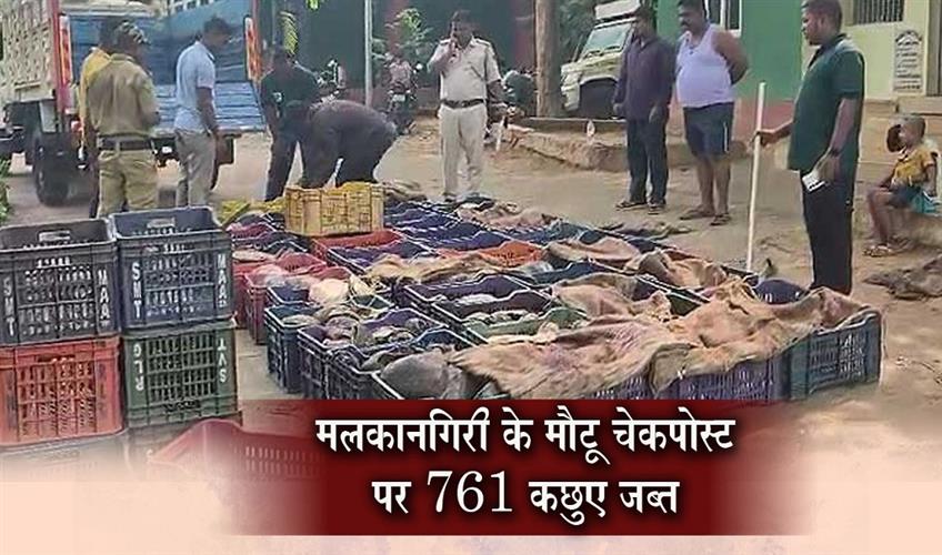 Khabar East:761-Turtles-Seized-At-Motu-Checkpost-In-Malkangiri
