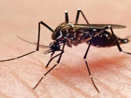 Khabar East:9-years-old-child-dead-due-to-deadly-dengue