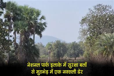 Khabar East:A-Naxalite-was-killed-in-an-encounter-with-security-forces-in-the-National-Park-area
