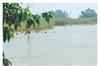 Khabar East:A-central-team-will-visit-Bihar-on-September-16-to-assess-the-damage-caused-by-floods