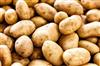 Khabar East:After-the-strike-the-supply-of-potatoes-from-cold-storage-increased-by-35-percent