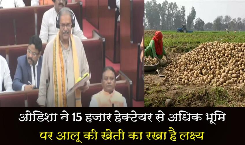 Khabar East:Amid-tussle-with-West-Bengal-Odisha-targets-potato-farming-on-over-15000-hectares-of-land