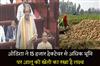 Khabar East:Amid-tussle-with-West-Bengal-Odisha-targets-potato-farming-on-over-15000-hectares-of-land