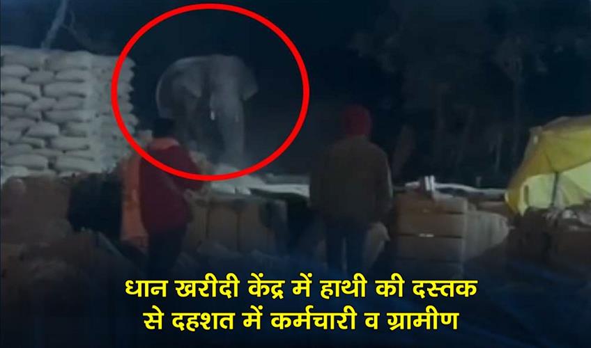 Khabar East:An-elephant-entered-the-paddy-procurement-center-causing-panic-among-the-staff-and-villagers