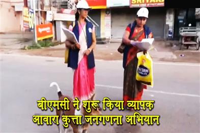 Khabar East:BMC-Launches-Comprehensive-Stray-Dog-Census-Across-67-Wards
