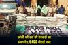 Khabar East:Bargarh-Excise-Busts-Cough-Syrup-Smuggling-Racket-With-Seizure-Of-5400-Bottles