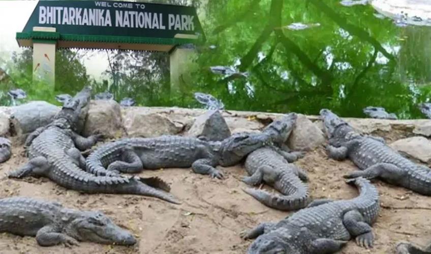 Khabar East:Bhitarkanika-National-Park-reopens-for-tourists-after-three-month-closure