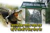 Khabar East:Bhitarkanika-National-Park-To-Remain-Closed-From-May-1-For-Crocodile-Breeding-Season