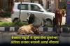 Khabar East:Bhubaneswar-to-become-stray-cattle-free-Odisha-govt-to-build-model-gaushala
