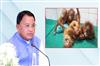 Khabar East:CM-Majhi-Orders-Probe-Into-Rescue-Of-Five-Baby-Orangutans-In-Baleshwar
