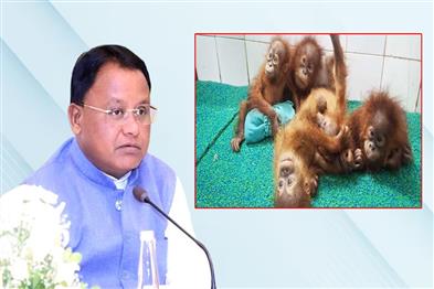 Khabar East:CM-Majhi-Orders-Probe-Into-Rescue-Of-Five-Baby-Orangutans-In-Baleshwar