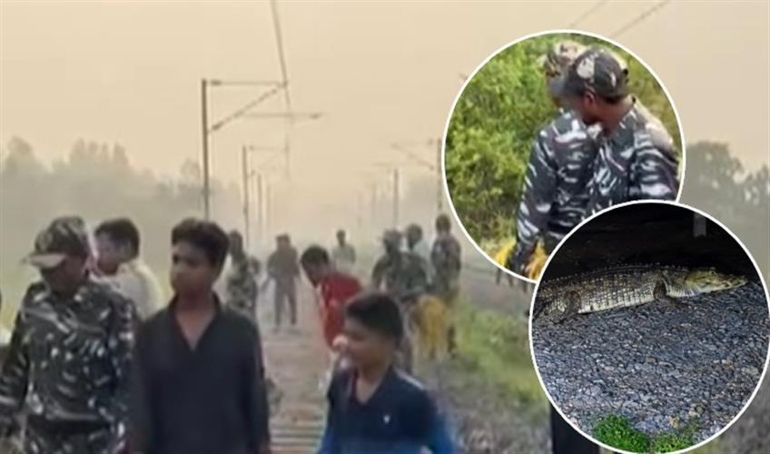 Khabar East:Crocodile-Spotted-Near-Railway-Track-In-Redhakhol-Village-Triggers-Panic