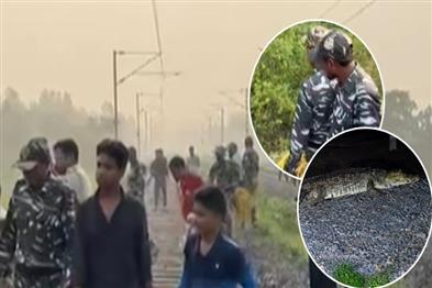 Khabar East:Crocodile-Spotted-Near-Railway-Track-In-Redhakhol-Village-Triggers-Panic