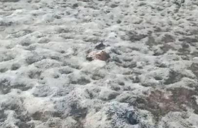 Khabar East:Daringbadi-witnesses-seasons-first-snowfall