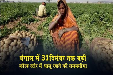 Khabar East:Deadline-for-storing-potatoes-in-cold-storage-in-Bengal-extended-till-December-31