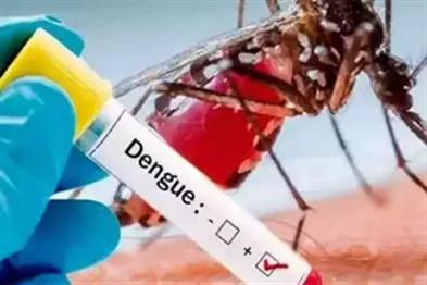 Khabar East:Dengue-havoc-in-Bihar-record-number-of-patients-found-in-24-hours