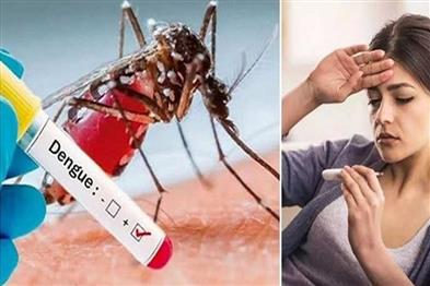 Khabar East:Dengue-wreaks-havoc-in-Bihar-89-new-patients-found