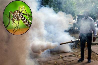 Khabar East:Dengue-wreaks-havoc-in-Kolkata-10-patients-die-in-seven-days