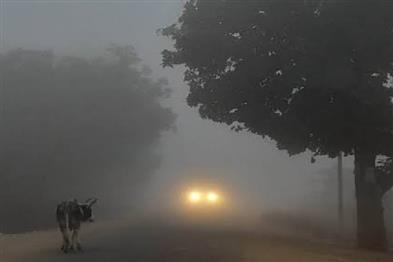 Khabar East:Dense-fog-covers-South-Bengal-train-and-flight-operations-disrupted