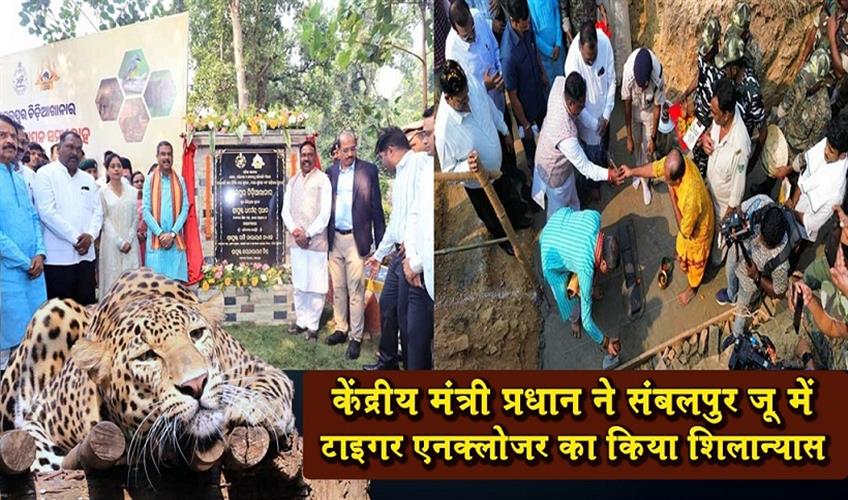 Khabar East:Dharmendra-Pradhan-Lays-Foundation-Stone-For-Tiger-Enclosure-At-Sambalpur-Zoo