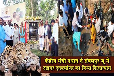 Khabar East:Dharmendra-Pradhan-Lays-Foundation-Stone-For-Tiger-Enclosure-At-Sambalpur-Zoo