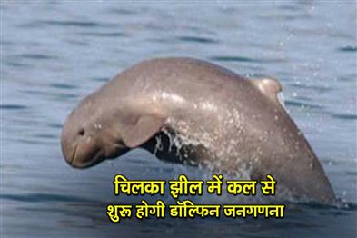 Khabar East:Dolphin-Census-To-Kick-Off-In-Chilika-Lake-Tomorrow