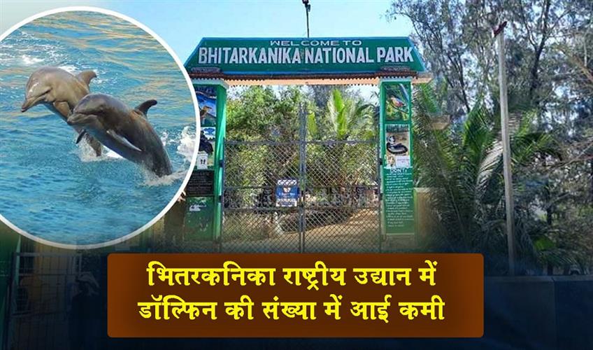 Khabar East:Dolphin-Population-Declines-In-Bhitarkanika-National-Park