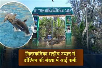Khabar East:Dolphin-Population-Declines-In-Bhitarkanika-National-Park