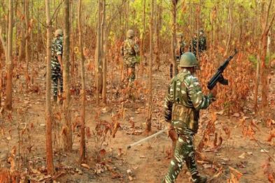 Khabar East:Eight-Naxalites-killed-in-police-encounter-in-Abujhmad-forest