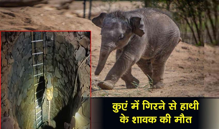 Khabar East:Elephant-Calf-Dies-After-Falling-Into-Well-In-Keonjhar