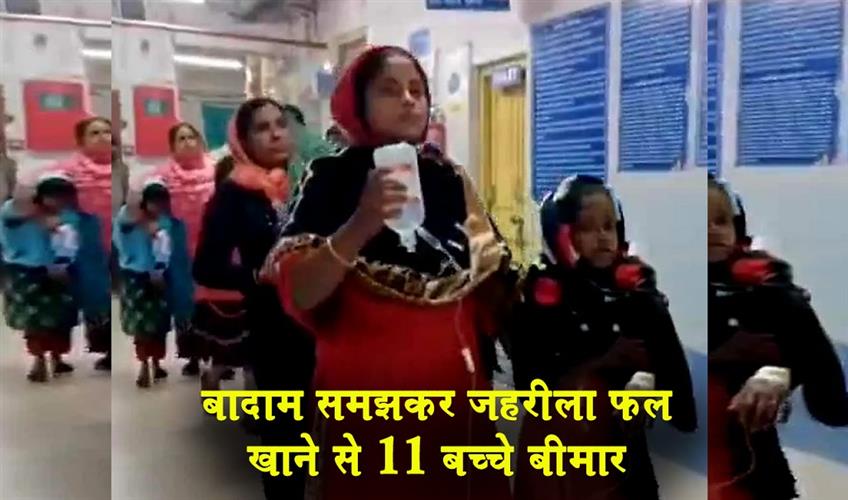 Khabar East:Eleven-children-fell-ill-after-eating-a-poisonous-fruit-mistaking-it-for-an-almond