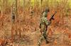 Khabar East:Encounter-on-Dantewada-Bijapur-border-three-Naxalites-killed