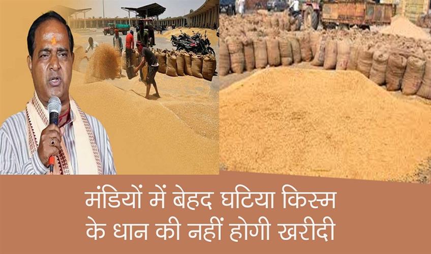 Khabar East:Extremely-lower-quality-paddy-will-not-be-procured-in-mandis-says-Odisha-Minister