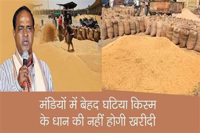 Khabar East:Extremely-lower-quality-paddy-will-not-be-procured-in-mandis-says-Odisha-Minister