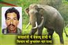 Khabar East:Farmer-Trampled-To-Death-By-Rogue-Elephant-In-Kalahandi