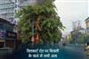 Khabar East:Fire-broke-out-in-electric-pole-on-Hillcart-Road