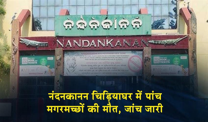 Khabar East:Five-Crocodiles-Die-At-Nandankanan-Zoo-Cause-Under-Investigation