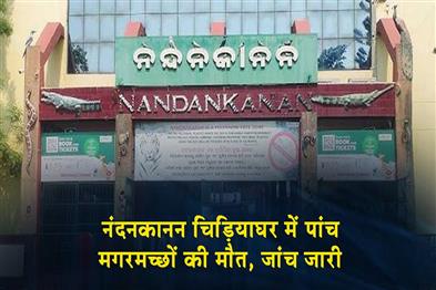 Khabar East:Five-Crocodiles-Die-At-Nandankanan-Zoo-Cause-Under-Investigation