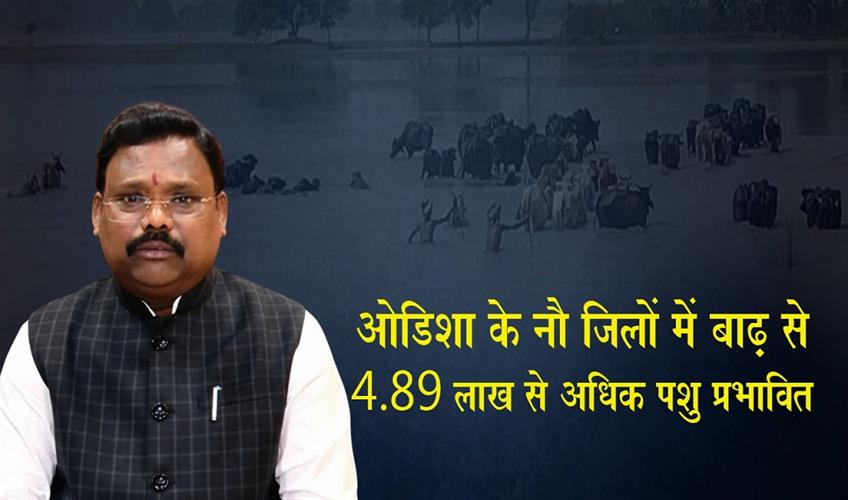 Khabar East:Floods-Affect-Nearly-489L-Animals-Across-Nine-Districts-In-Odisha-Minister
