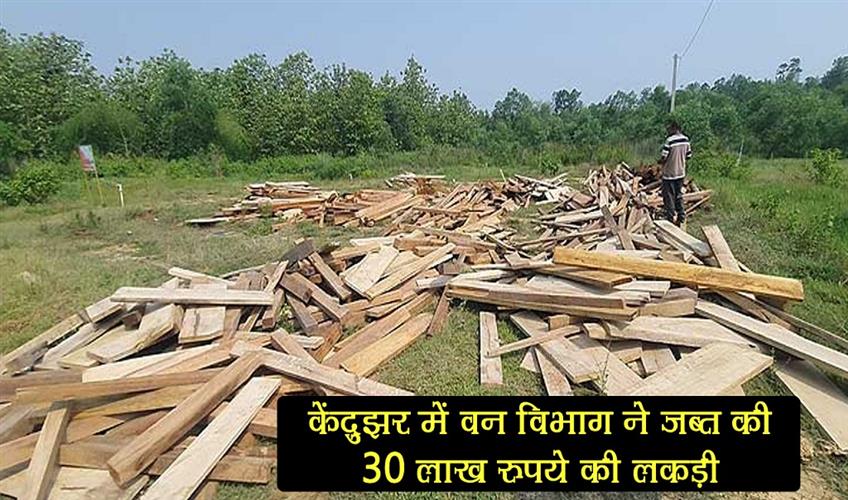Khabar East:Forest-Dept-Seizes-Timber-Worth-Rs-30-Lakh-In-Keonjhar