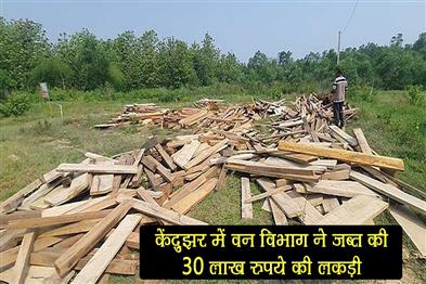 Khabar East:Forest-Dept-Seizes-Timber-Worth-Rs-30-Lakh-In-Keonjhar